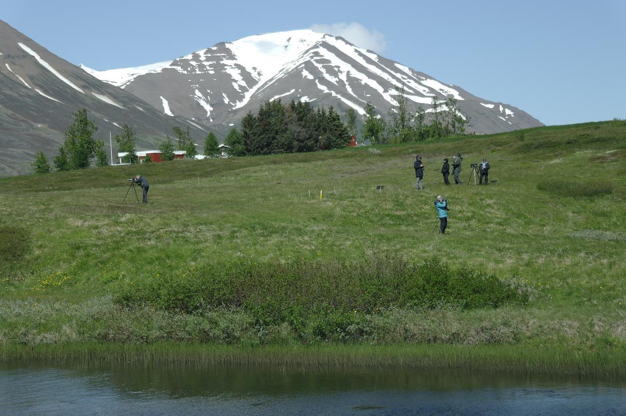 Hotel Dalvík Eksteriør billede